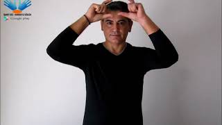 Hostes - Işaret Dili