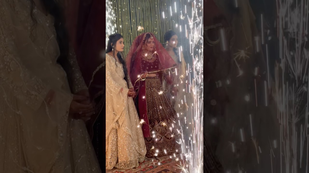 Grand Wedding Part-1🥰🫶🏻#shorts #status #love #shortvideo #youtubeshorts #grand #wedding #special