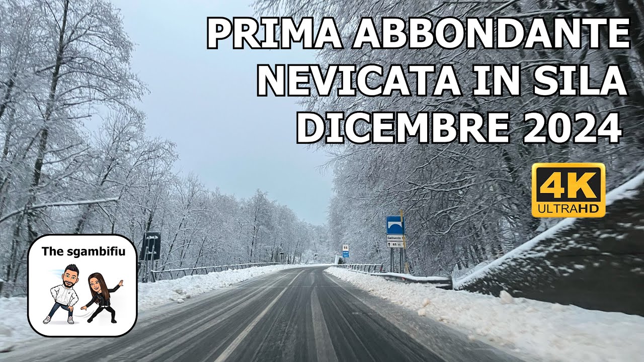 ❄️ Prima abbondante nevicata in Sila: dicembre 2024 🌨️