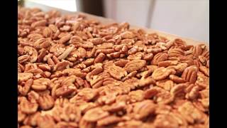 How to get Pecan Halves from Millican Pecan