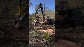 John Deere 1270G H425 Harvester Processing Wood In The Forest #Johndeere #Harvester #Viral #Farming