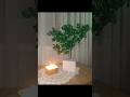 Alçıdan Modern Saksıda Dekoratif Ağaç | DIY Projesi #aboneol #diy #kendinyap