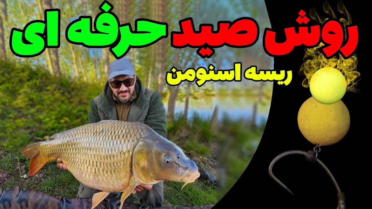 ریسه ای حرفه ای و سریع برای صید کپور