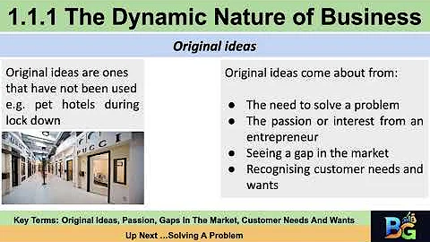 Theme 1 topic 1.1.1 The dynamic nature of business - Original ideas
