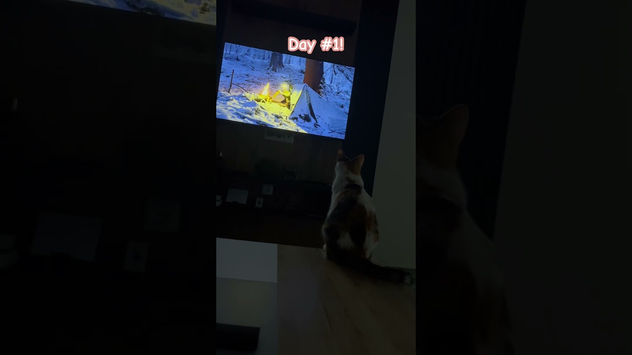 Here's the first challenge video! It's quite simple, isn't it?🙇🏼