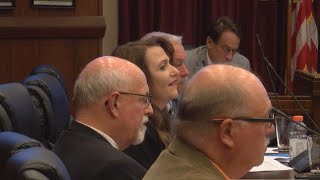 Measure to study "duplicated" government services moves forward in Sullivan County