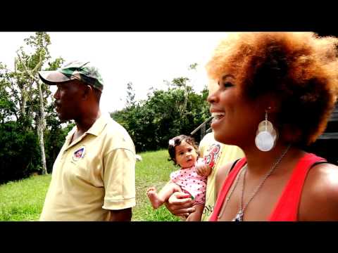 Pon Di Road (Season 2) #23 - Hollywell Park