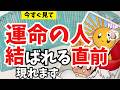【すぐ見て⚠️今動く】この夏、運命の人と結ばれる人にだけ現れます。(怖いほど当たる)【恋愛タロット】【タロット・オラクル・リーディング】【Nia☁️🥞】