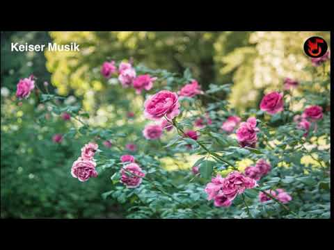 ام كلثوم اللي شفته قبل ماتشوفك عنيا