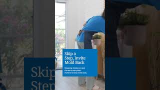 Safe Mold Remediation: Full Step-by-Step Process