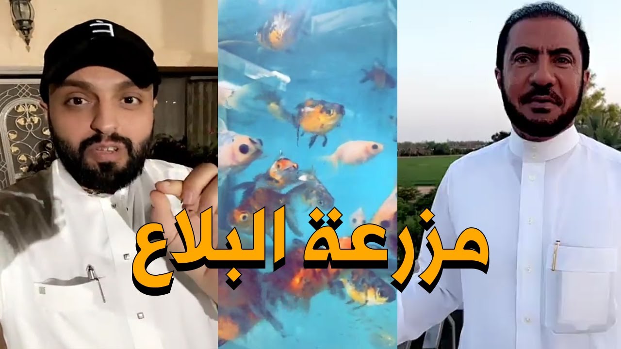 اكبر مزرعة لانتاج وتصدير الاسماك في السعودية