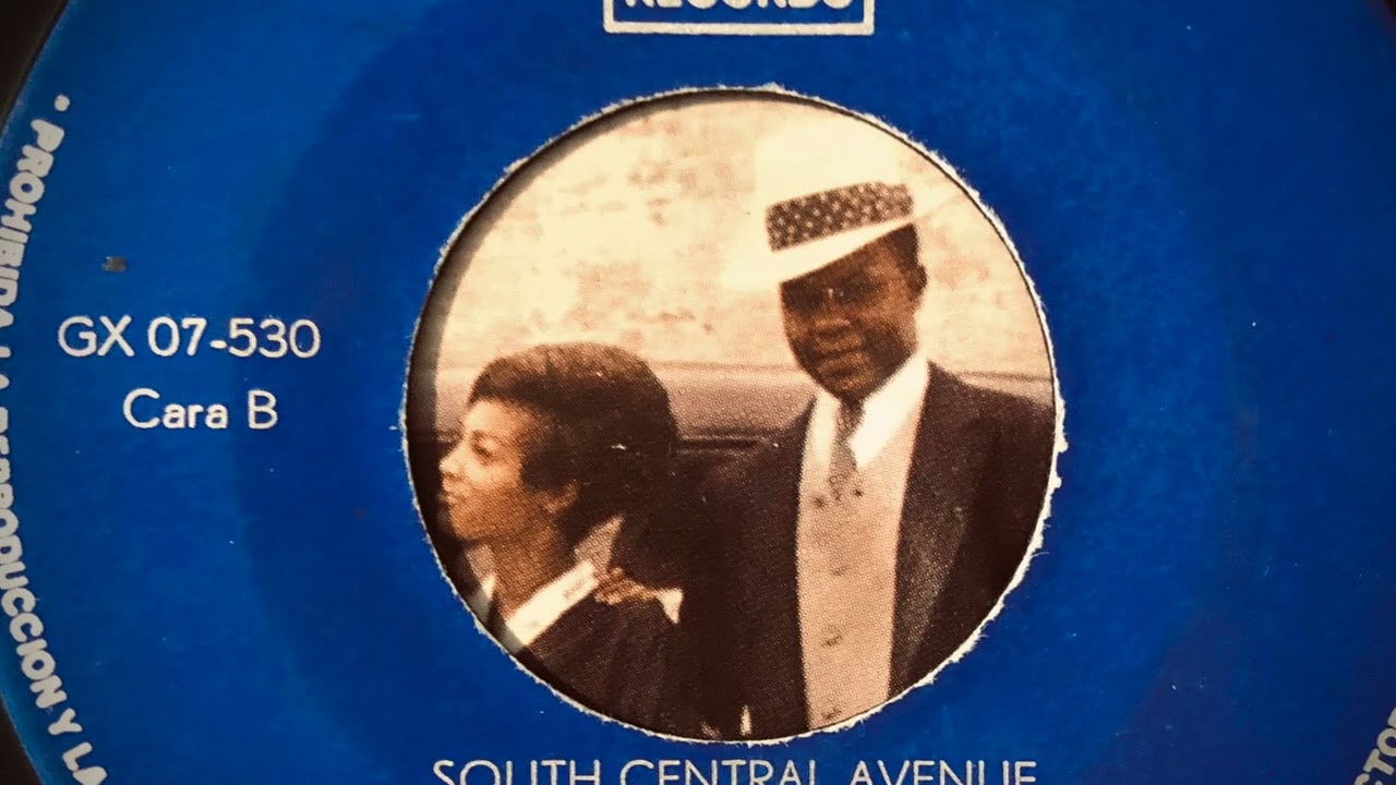 South Central Avenue Municipal Blues Band - Ode to Bonnie and Clyde
