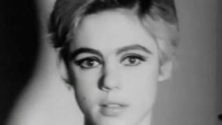 The Saigons - I Dont Want You