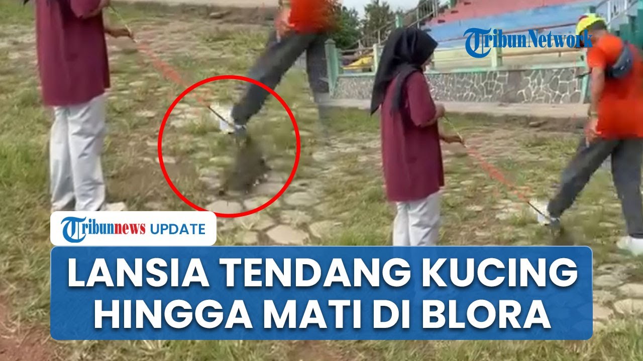 Terungkap Alasan Lansia Tendang Kucing hingga Mati di Blora, Pelaku Diperiksa Polisi & Minta Maaf
