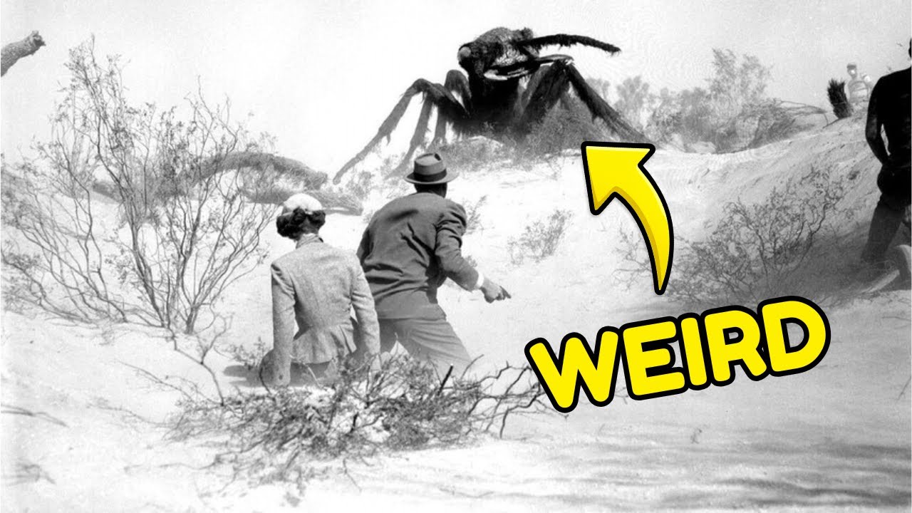 THEM! (1954) - 16 Weird Facts Of The Film That Changed Monster Movies Forever