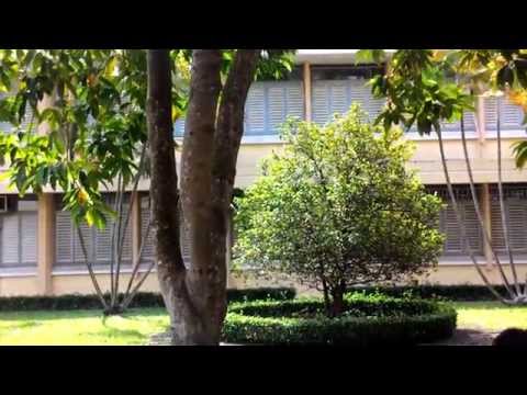 Video Khoa Sinh Học - Công Nghệ Sinh Học trường Đại Học Khoa... - YouTube