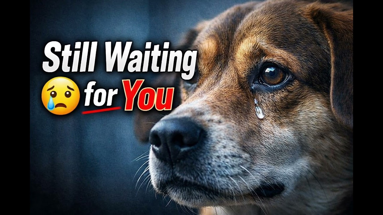 Still waiting for you 