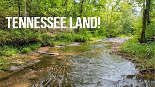 Tennessee Land for Sale | 5+ Acres  No Bank!
