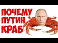 В 4 утра / Почему Путин краб?