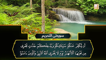 سورة التحريم بصوت دانر زياد