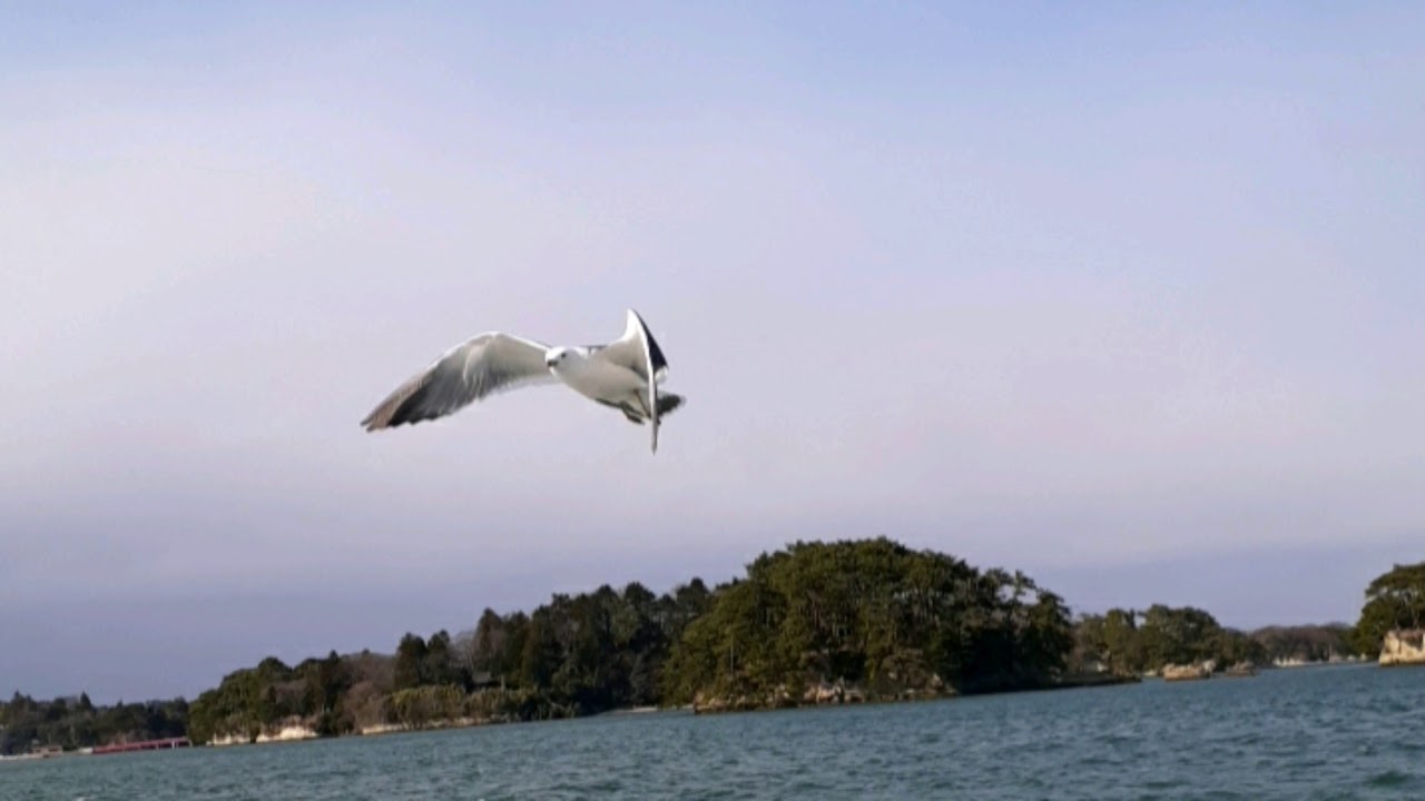 【何用？】Henceforth / Orangestar【ピアノアレンジ】