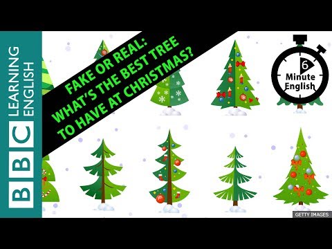 Fake or real: What’s the best tree to have at Christmas? 6 Minute English