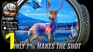 Hunting Clash: Sniper Shooting Gameplay Part 1 - First Hunt Begins! (Walkthrough Android/iOS)