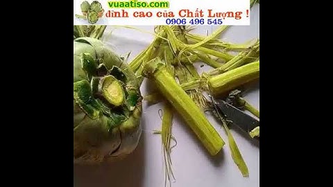 CÁCH CHẾ BIẾN ATISO NẤU NƯỚC UỐNG CỰC KỲ ĐƠN GIẢN