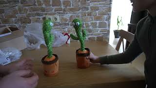 : Repeating cactus repeating cactus