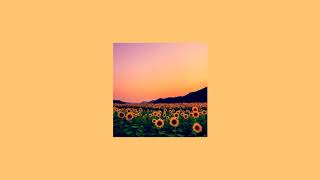 Rex Orange County - Sunflower { slowed }