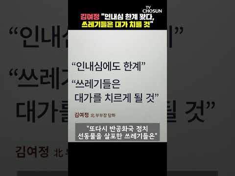<strong>대북전단</strong> 떨어지자 김여정이 보인 반응 / 티조 Clip #shorts