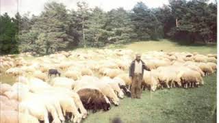 Arif Ünal Ağ Gelin