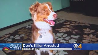 Dog Killer Arrested 2 Years Later