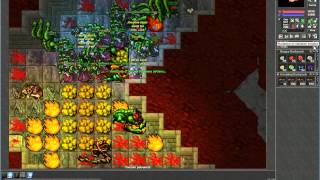 Tibia - Refugia Server - Killing a lvl 240 Ek Botter