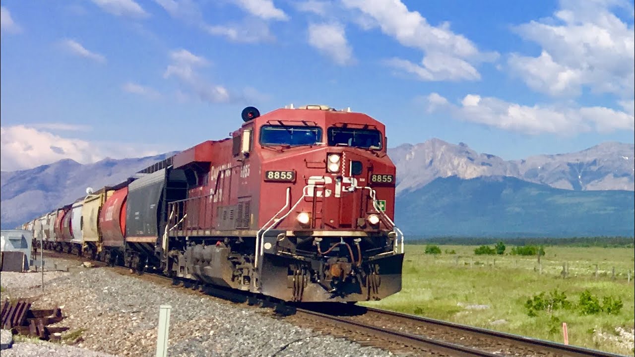 FAST & NICE HORN!!!! Canadian Pacific Grain (CP 300) East at Ozada, AB!