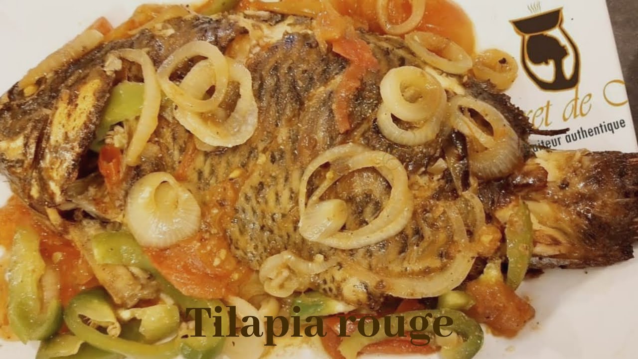 Cuisine congolaise : Tilapia rouge aux crevettes roses - YouTube