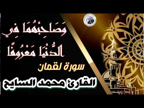 الشيخ محمد السايح يتخطي حدود الابداع في وأحدة من أجمل تلاواتة الخاشعة المؤثرة