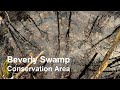 Family Day Outing: Beverly Swamp Exploration -  Trekking Through Ontario&#39;s Wilderness