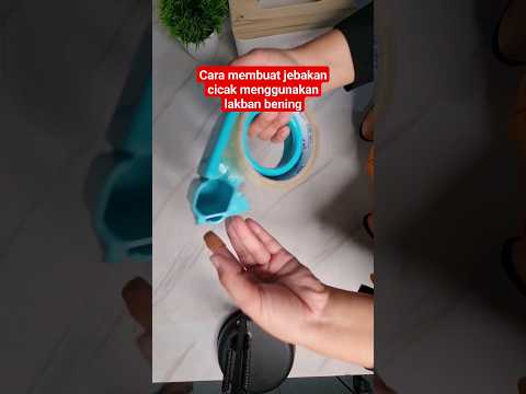 ผลสลากกินแบ่งรัฐบาล วันที่ 1 พย. 2567