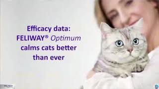 The NEW Pheromone Discovery   Feliway Optimum on Vimeo