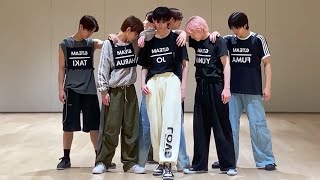 &TEAM 'Koegawari'|Dance Practice Mirror