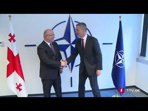 ლევან იზორია ნატო-ს გენერალურ მდივან იენს სტოლტენბერგს შეხვდა