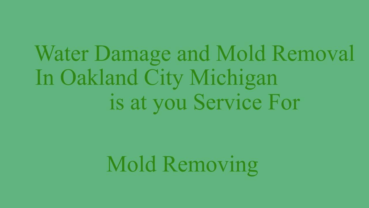 Water damage and mold removal oakland county MI