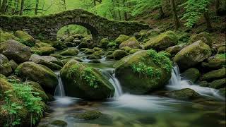 Write Your Book Faster - Dynamic River Current Audio for Novel Drafting & Deep Flow
