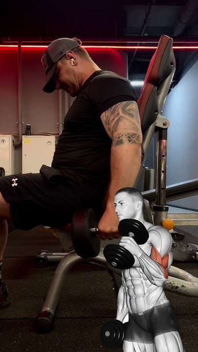 БИЦЕПС ИЛИ БРАХИАЛИС? - YouTube