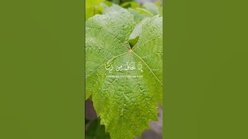 تلاوة عذبة تلامس القلب | سورة الإنسان بصوت خاشع يريح النفسهاشتاغات:#سورة_الإنسان #تلاوة_خاشعة