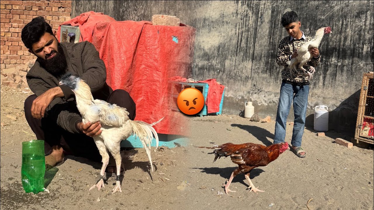 DSP na heeray ki band bja di 😭