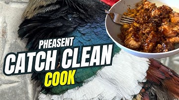 From Field to Table: Iowa Pheasant Catch, Clean & Cook!