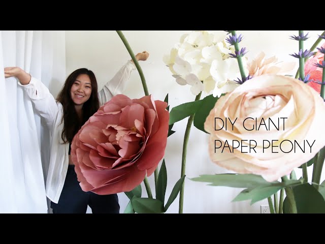 DIY Giant Paper Peony - YouTube how-to-make-an-easy-giant-peony-paper-flower
