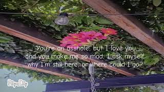 Download Mp3 True Love  |  P!nk, Lily Allen  |  Lyrics Gudang lagu Download Mp3 True Love  |  P!nk, Lily Allen  |  Lyrics